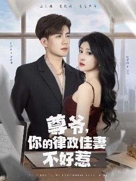 尊爺，你的律政嬌妻不好惹(全集)