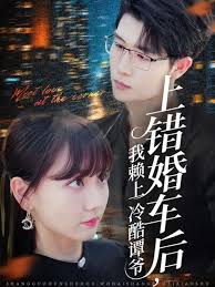 上錯(cuò)婚車(chē)后我賴(lài)上冷酷譚爺(全集)