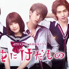 花予野獸 第一季(全集)