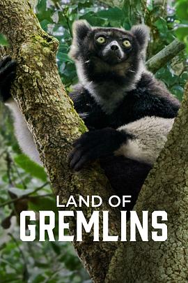 精靈樂(lè)園第一季(全集)