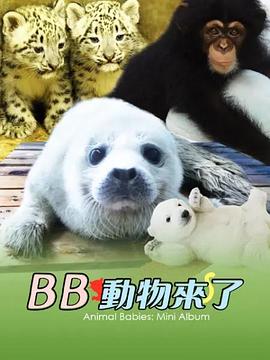 動物寶寶迷你特輯(全集)