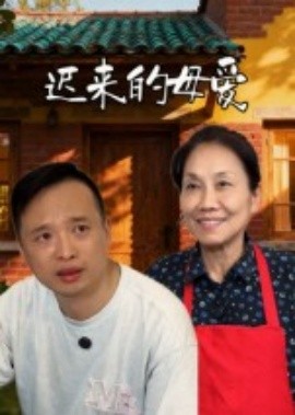遲來(lái)的母愛(全集)