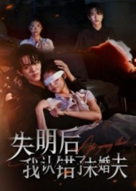 失明后我認(rèn)錯(cuò)了未婚夫(全集)